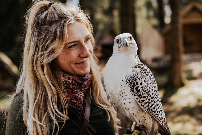 Falknerei am Rennsteig Falknerei am Rennsteig