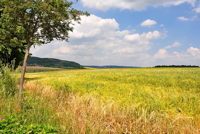 Landschaft im Sommer Landschaft im Sommer