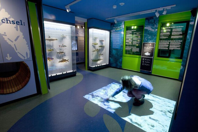 Haus der Natur Goldisthal Haus der Natur Goldisthal