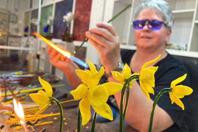 Osterglocken Osterglocken