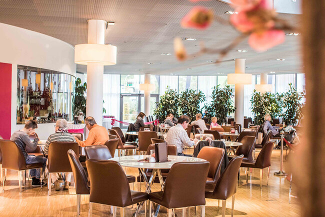 Viba Nougat-Welt Viba Nougat-Welt