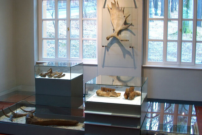 Das Mauritianum Das Mauritianum