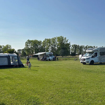 Alpaka Farm Erlebnis plus Komfort Natur Campingplatz, Witzleben Alpaka Farm Erlebnis plus Komfort Natur Campingplatz, Witzleben