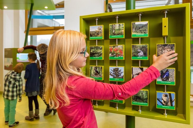 Infozentrum Biosphärenreservat Thüringer Wald  Infozentrum Biosphärenreservat Thüringer Wald