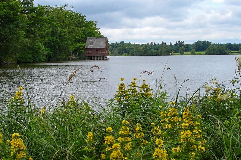 Plothener Teiche (hier der Hausteich) Plothener Teiche (hier der Hausteich)