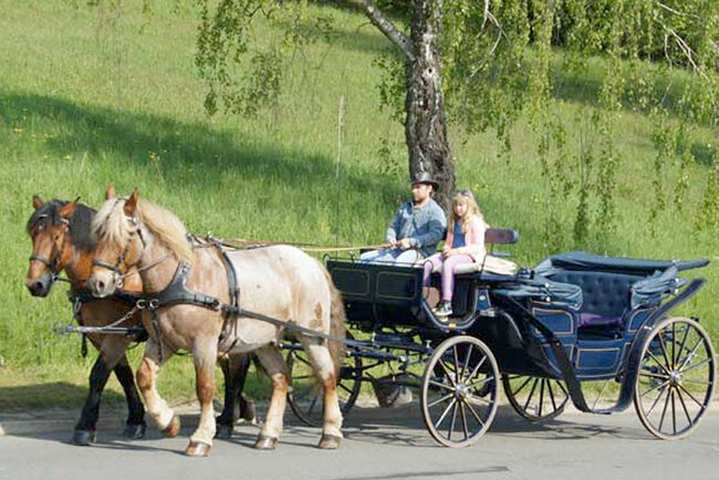 Reit- und Kutschtouristik Ortlepp Reit- und Kutschtouristik Ortlepp