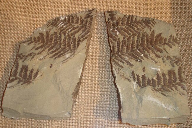 Die Manebacher Heimatstube Die Manebacher Heimatstube