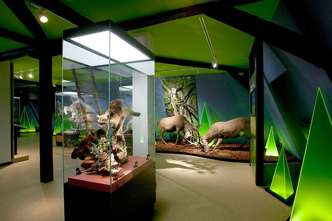 Haus der Natur Goldisthal Haus der Natur Goldisthal