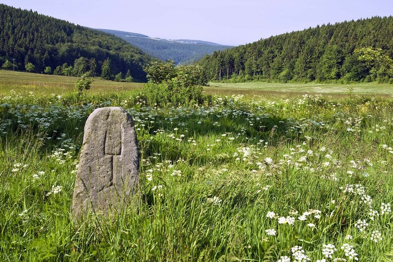 Grenzstein am Rennsteig Grenzstein am Rennsteig
