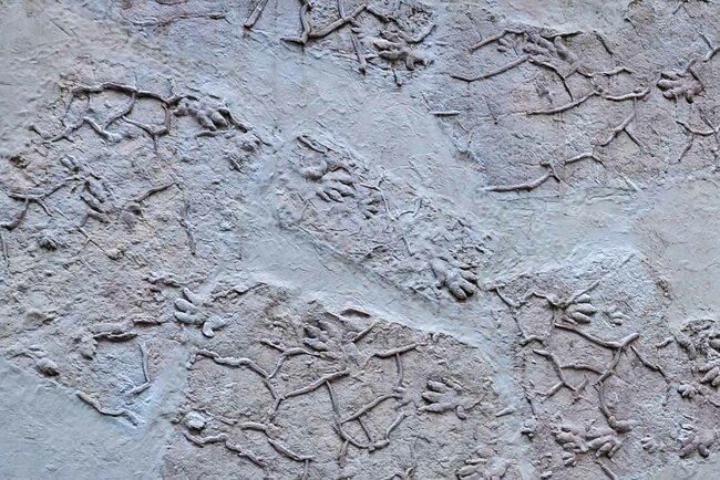 Chirotherium-Monument Chirotherium-Monument