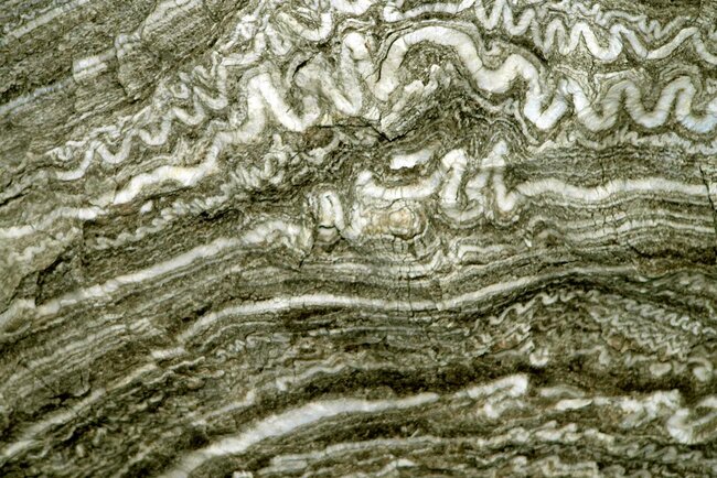 Barbarossahöhle - Schlangengips Barbarossahöhle - Schlangengips