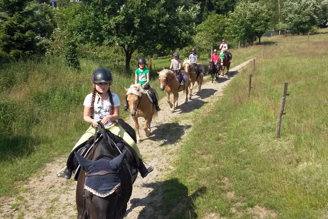 Reiterhof Kirchner Reiterhof Kirchner