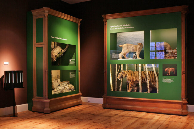 Tiere im Turm Tiere im Turm