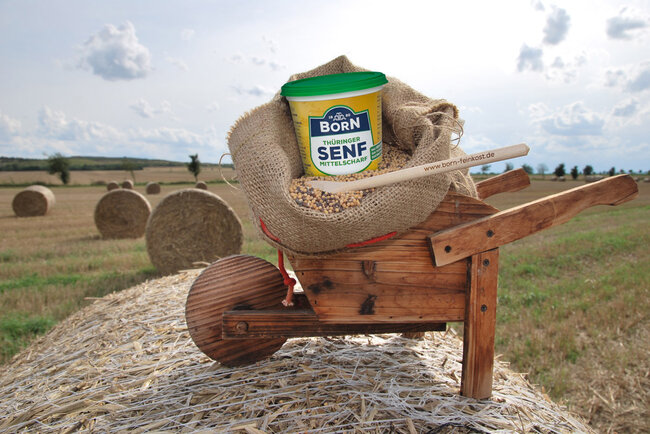 Born Senf-Ernte in Thüringen Born Senf-Ernte in Thüringen