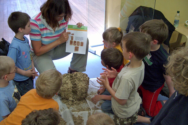 Das Mauritianum Das Mauritianum