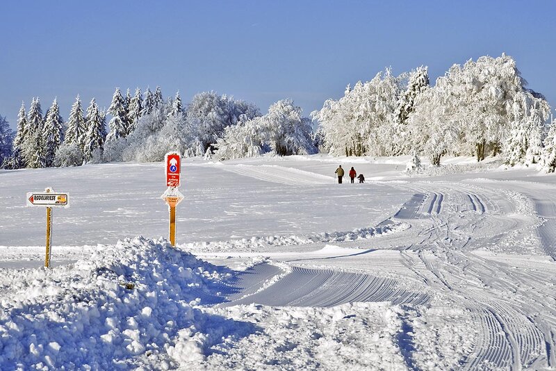 Ski fahren im Winter Ski fahren im Winter