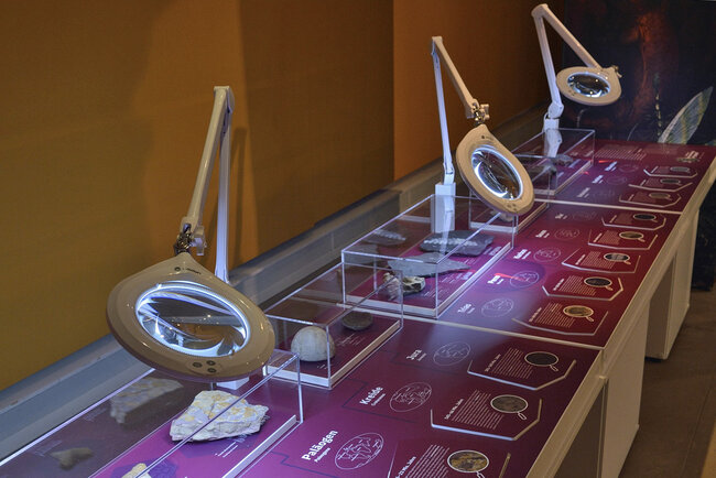 Bromacker lab Bromacker lab