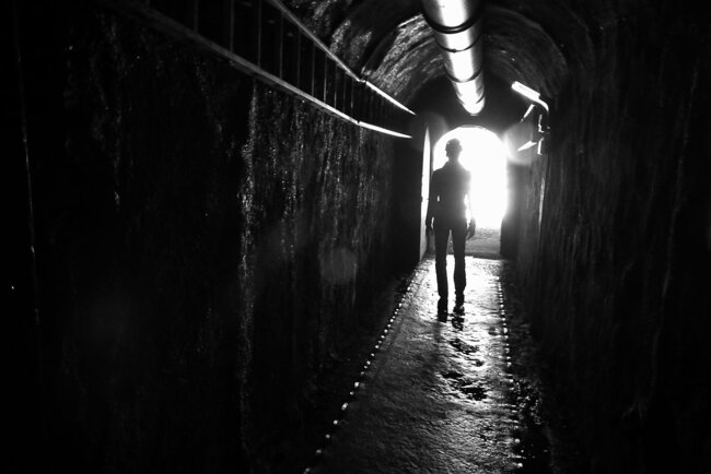 Dunkelführung Dunkelführung