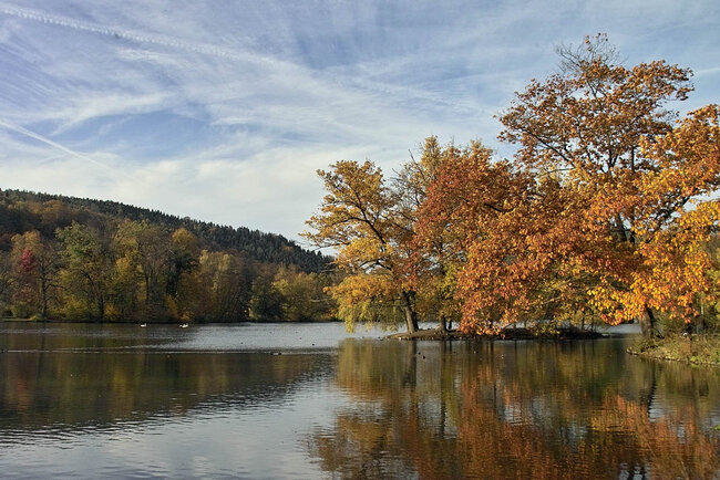 Greizer Park Greizer Park