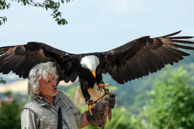 Adler- und Falkenhof Schütz Adler- und Falkenhof Schütz