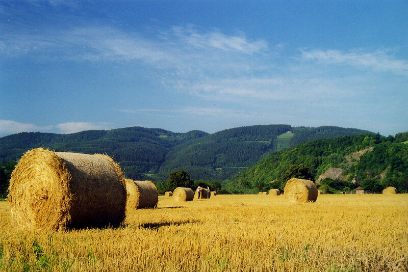 Landschaft im Saaletal Landschaft im Saaletal