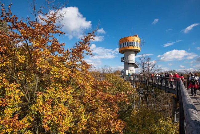 Der Baumkronenpfad im Nationalpark Hainich Der Baumkronenpfad im Nationalpark Hainich
