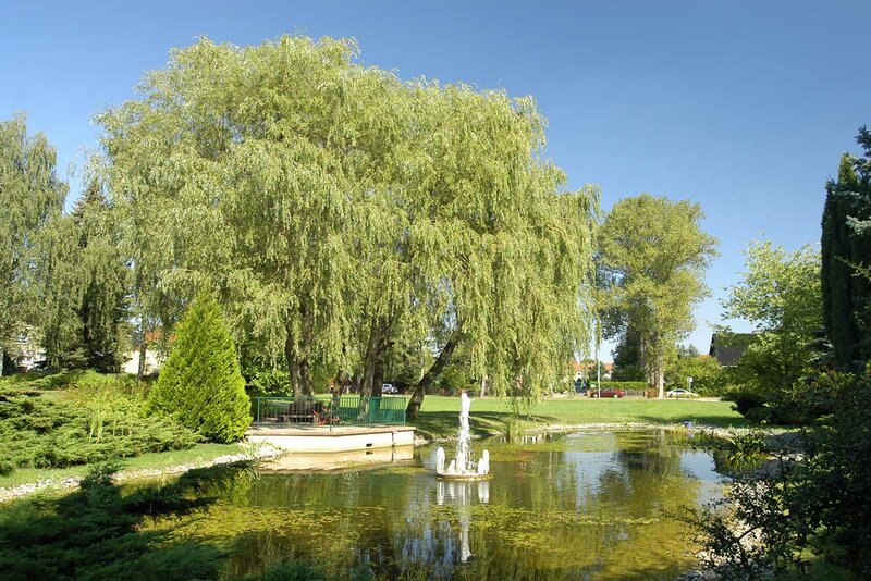 Teich im Kurpark Teich im Kurpark