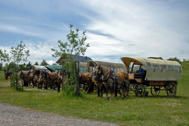 Reit- und Kutschtouristik Ortlepp Reit- und Kutschtouristik Ortlepp