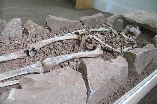 Blick in die Ausstellung Blick in die Ausstellung