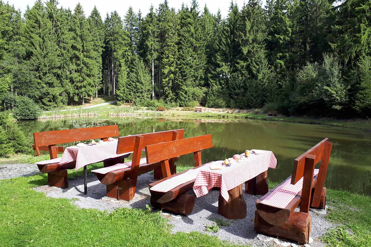 Picknick im Thüringer Wald