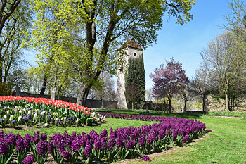 Arboretum in Bad Langensalza Arboretum in Bad Langensalza