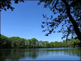 Bernshäuser Kutte Bernshäuser Kutte