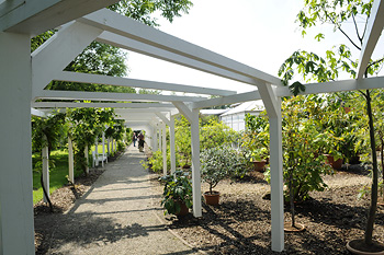 Botanischer Garten - Garten der Vielfalt Botanischer Garten - Garten der Vielfalt