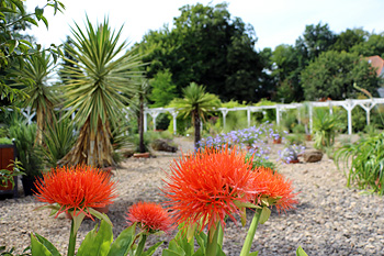 Botanischer Garten in Bad Langensalza Botanischer Garten in Bad Langensalza