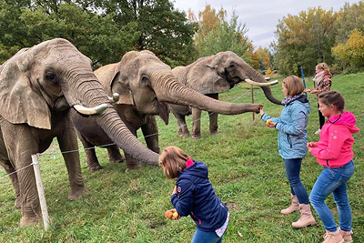 Erlebnispark Starkenberg Erlebnispark Starkenberg