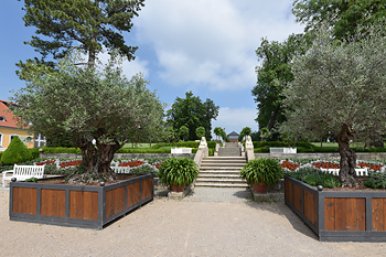 Schlösschenpark Schlösschenpark