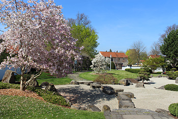 Kirschblüte im Japanischen Garten Kirschblüte im Japanischen Garten