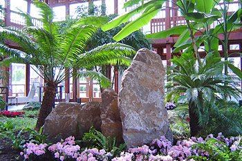 Pflanzpavillon Pflanzpavillon