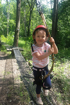 Kletterwald Koala Kletterwald Koala