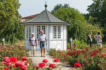 Rosengarten in Bad Langensalza Rosengarten in Bad Langensalza