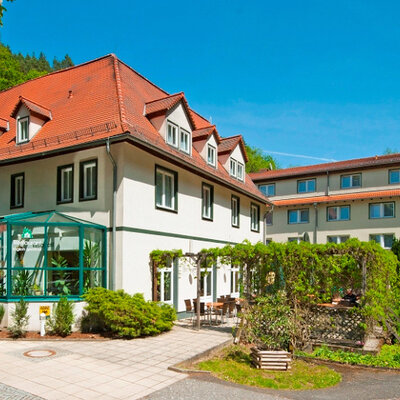 Waldhotel Linzmühle Waldhotel Linzmühle