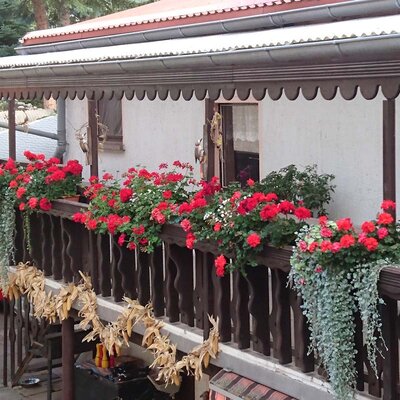 Ferienhaus Haus Ulla Ferienhaus Haus Ulla