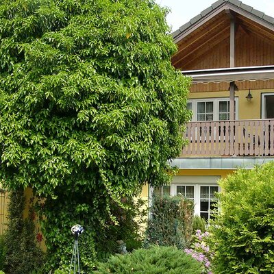 Ferienhaus Voigt, Sitzendorf Ferienhaus Voigt, Sitzendorf