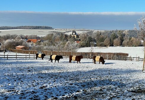 Landschaft bei Stadtilm Landschaft bei Stadtilm