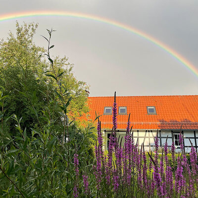 Ferienhof Zum Kalmberg Ferienhof Zum Kalmberg