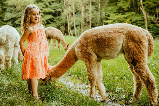 Alpakas vom Roten Berg, Saalfeld