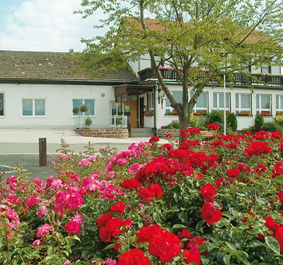 Gaststätte & Pension Schillershöhe Gaststätte & Pension Schillershöhe