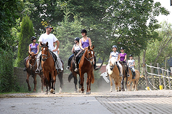 Reiterferien-Frühlings-Camp zu Himmelfahrt + Pfingsten